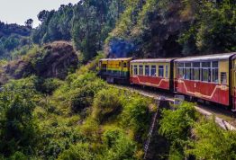 train